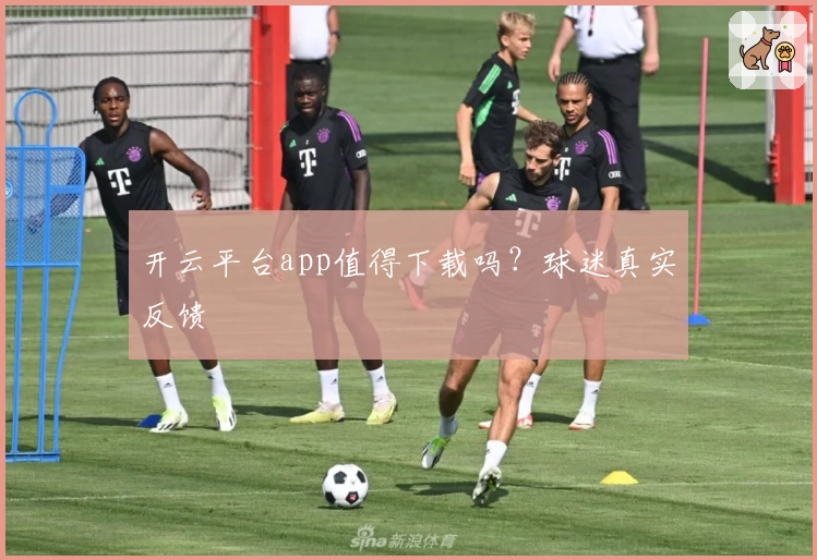 开云平台app值得下载吗？球迷真实反馈