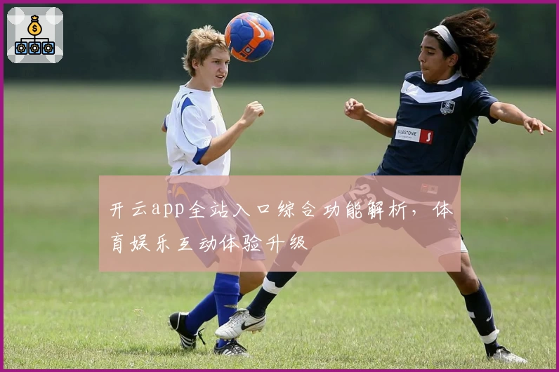 开云app全站入口综合功能解析，体育娱乐互动体验升级