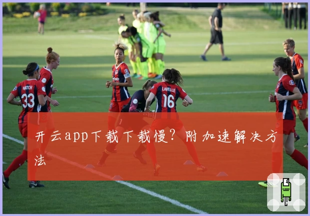 开云app下载下载慢?附加速解决方法