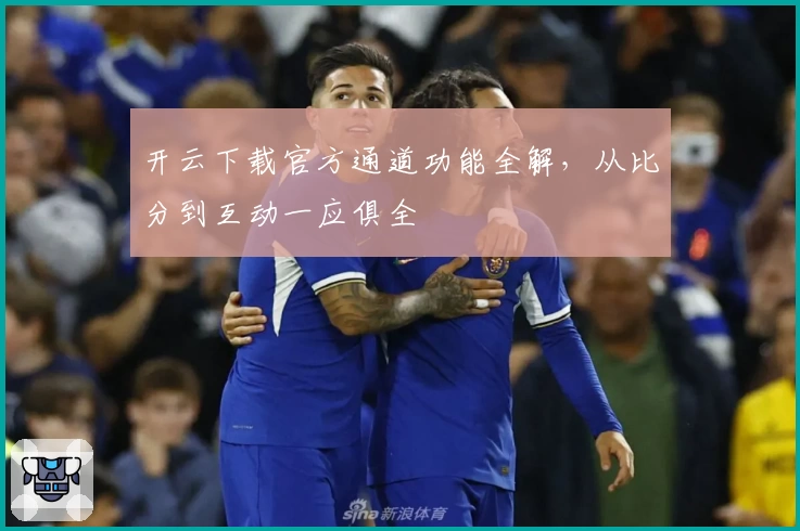 开云下载官方通道功能全解，从比分到互动一应俱全