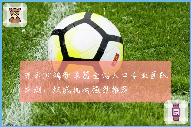 开云pc端登录器全站入口专业团队评测，权威机构强烈推荐