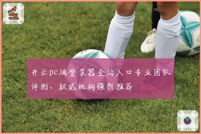 开云pc端登录器全站入口专业团队评测，权威机构强烈推荐