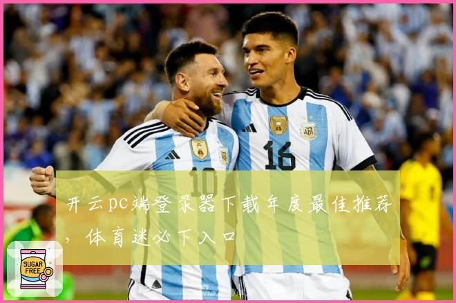 开云pc端登录器下载年度最佳推荐，体育迷必下入口