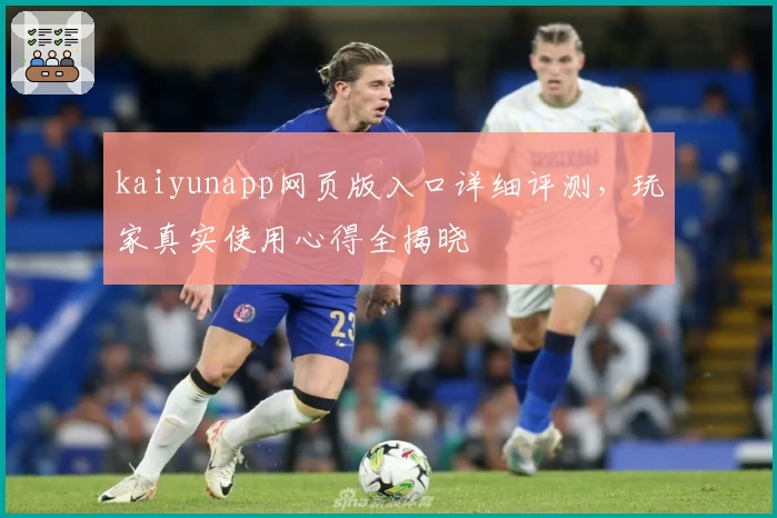 kaiyunapp网页版入口详细评测，玩家真实使用心得全揭晓